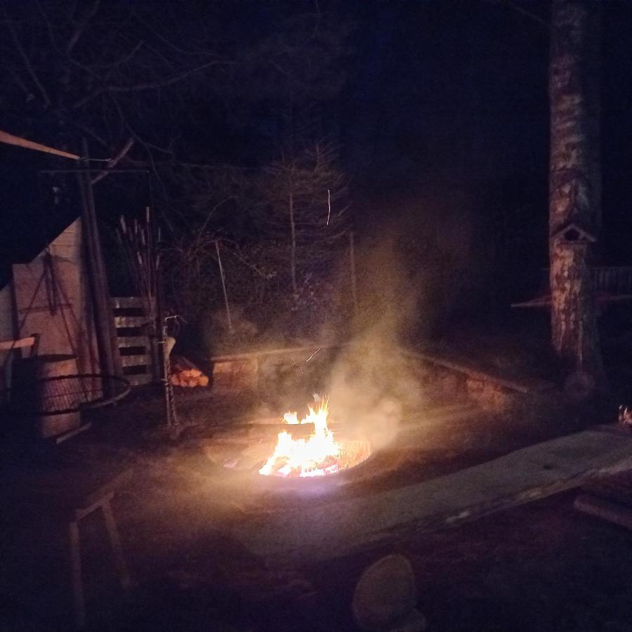 Grygielówka - Dom pod lasem Kamień Exterior foto
